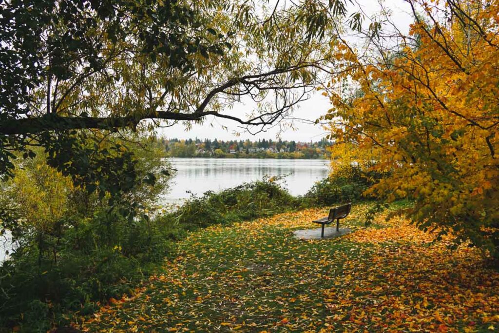 Park bench under autumn trees at Green Lake, Seattle