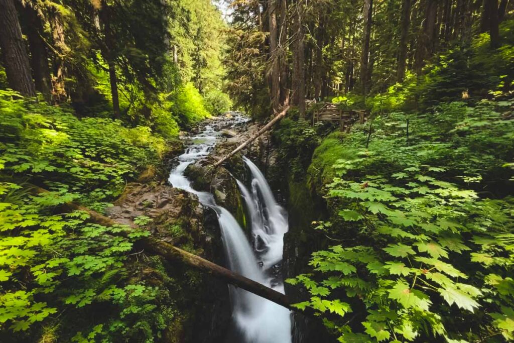 Sol Duc Falls, Washington, surrounded by trees