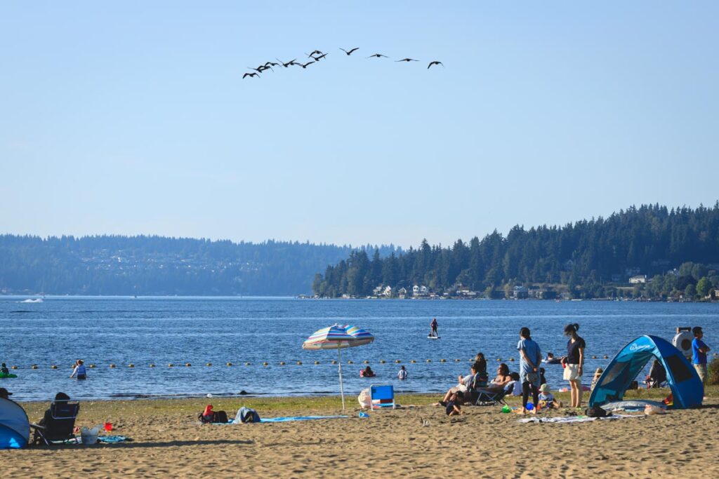 People on shoreline at Lake Sammamish State Park in Seattle