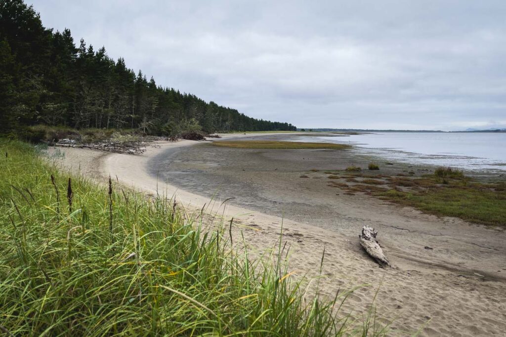Long Beach and surrounding forest at Leadbetter Point one of the best Washington state parks