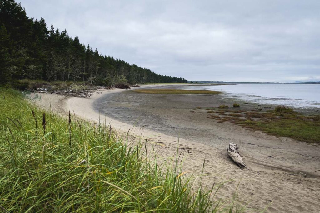 Long Beach and surrounding forest at Leadbetter Point State Park