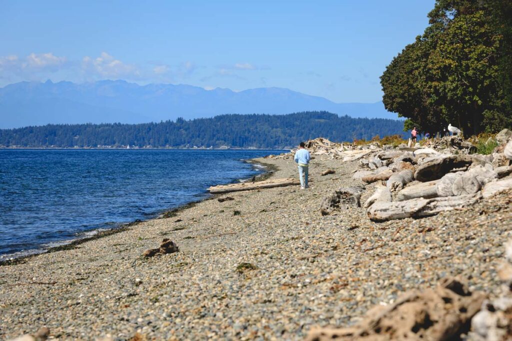 Man and driftwood on Lincoln Park Beach in Seattle