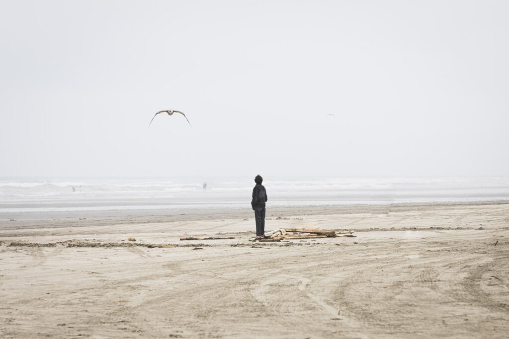 Person watching seagull on Long Beach