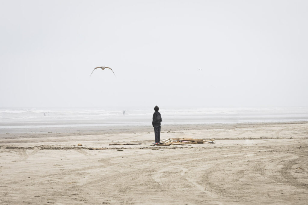 Watching a seagull on Long Beach.