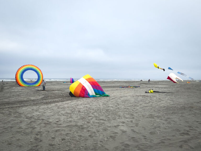 Giant kites on the sand at Long Beach
