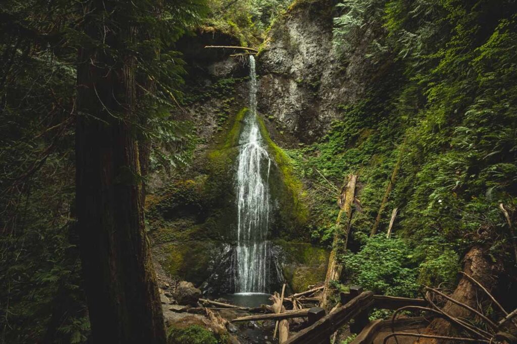 View of Marymere Falls for outdoor activities near Seattle