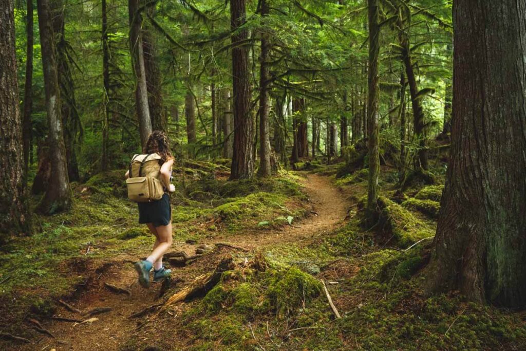 Hiker on trail in forest on Mount Baker near Bellingham, Washington