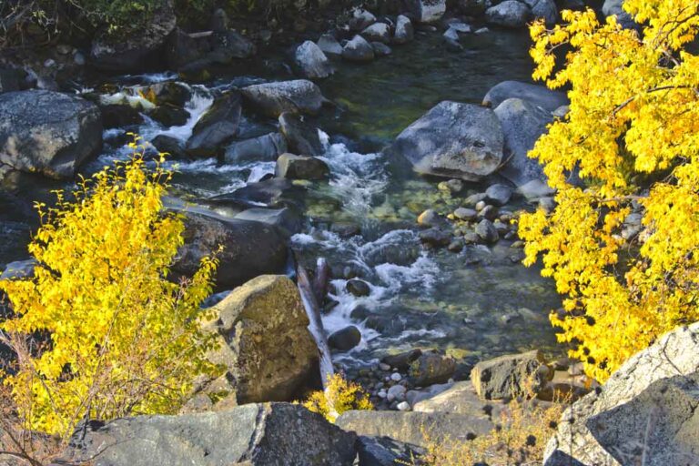 Autumn trees and river on the Icicle Gorge trail near Leavenworth