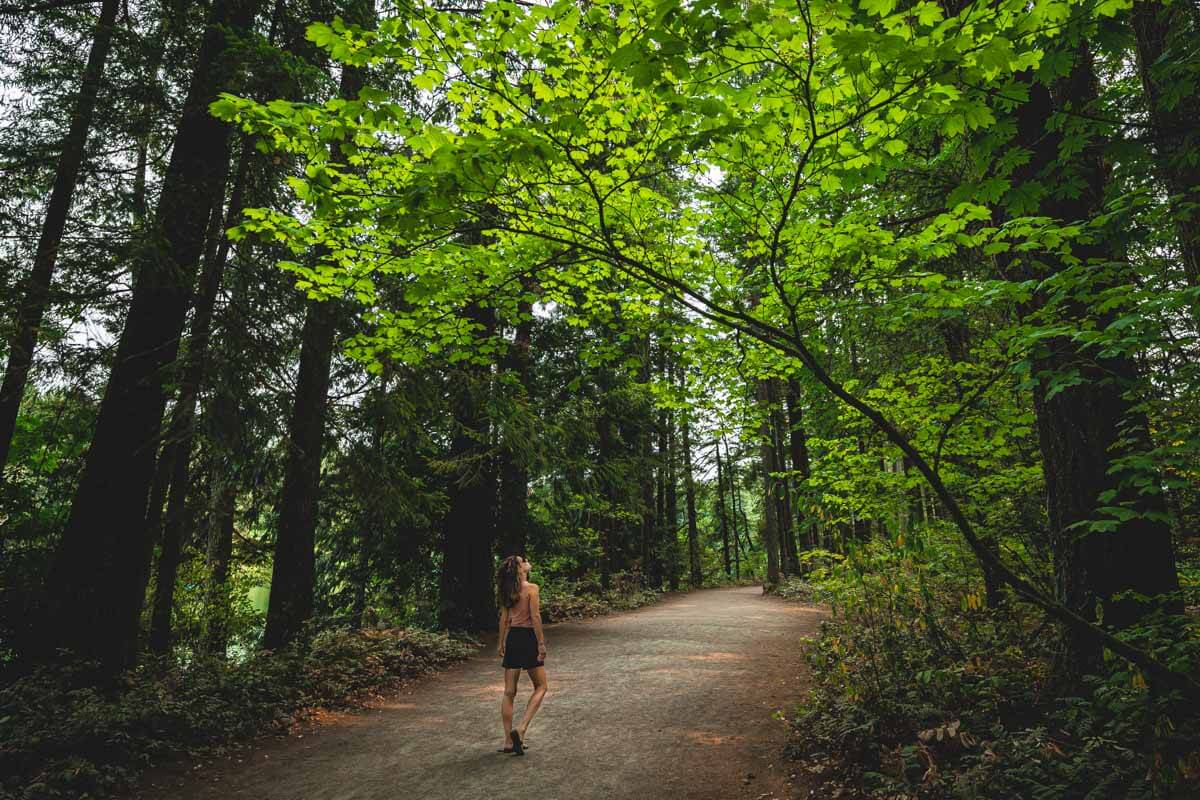 Your Guide to Lacamas Park: Trails, Lakes, and Waterfalls!