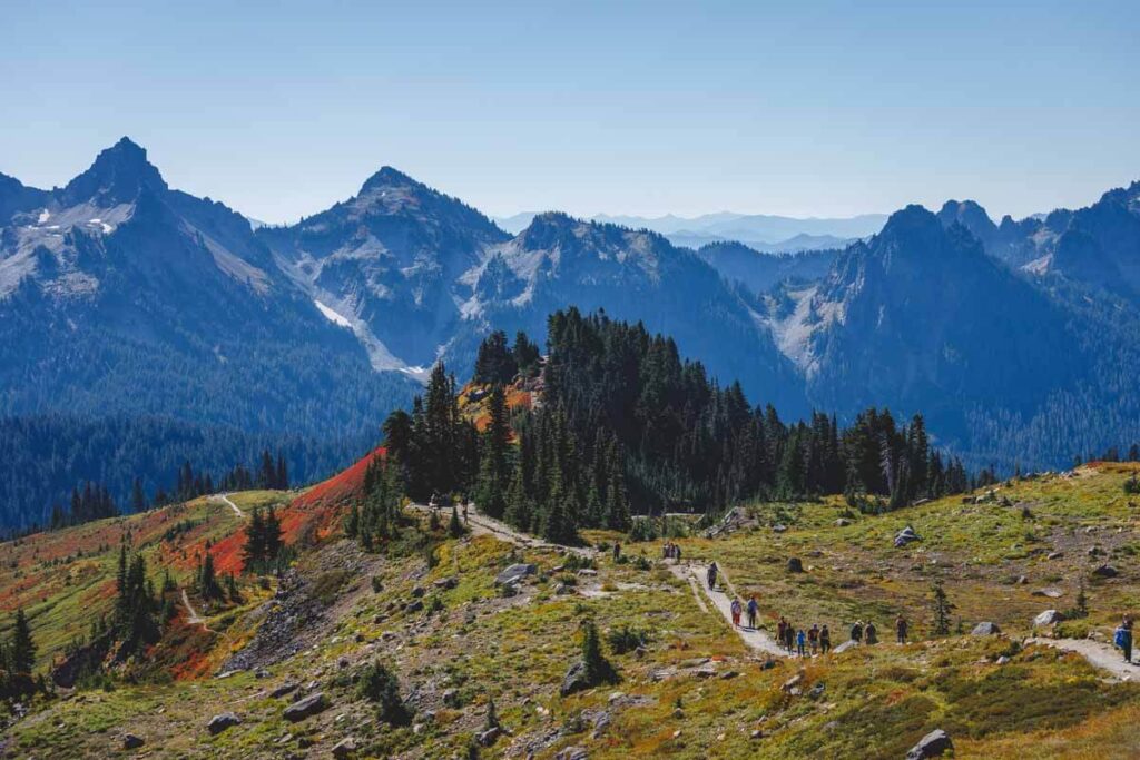 Skyline Loop Trail facing away from Mount Rainier