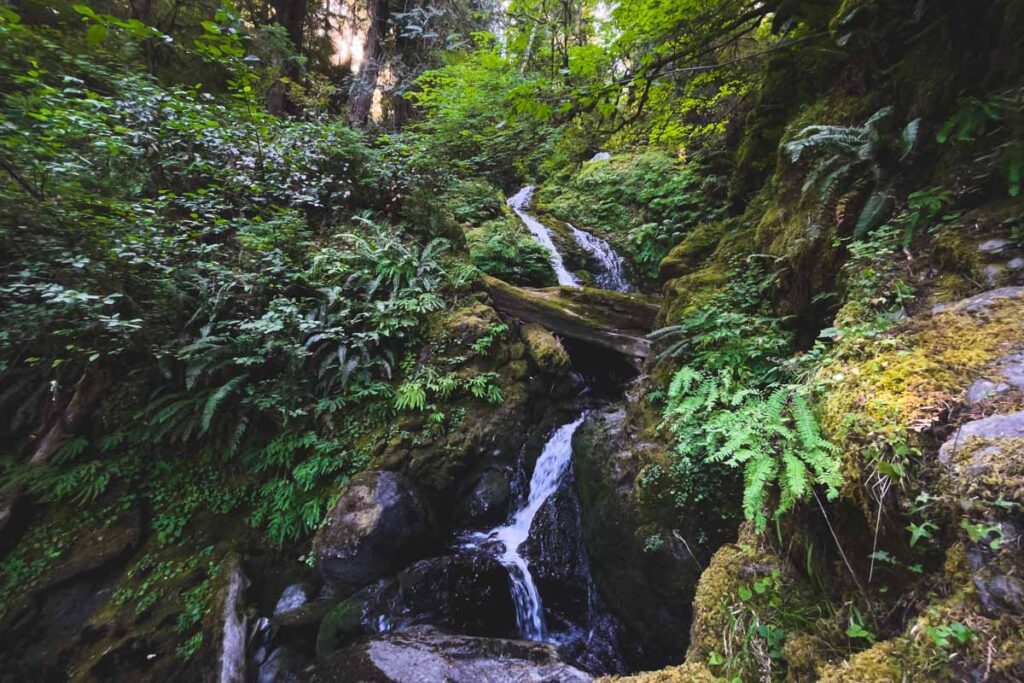 Bunch Falls, Washington