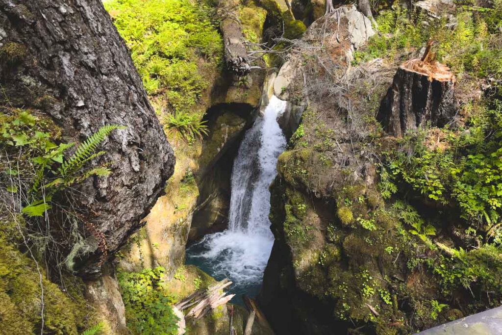Ladder Creek Falls in Washington