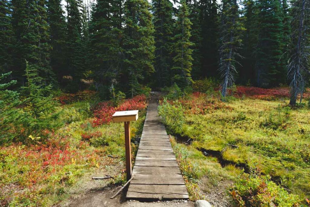 Boardwalk on Blue Lake Hike one of the best hikes in the North Cascades
