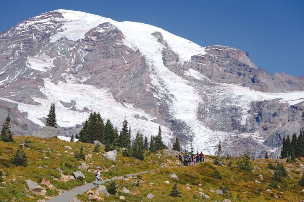 Mountain view from Dead Horse Creek Trail Mount Rainier hikes