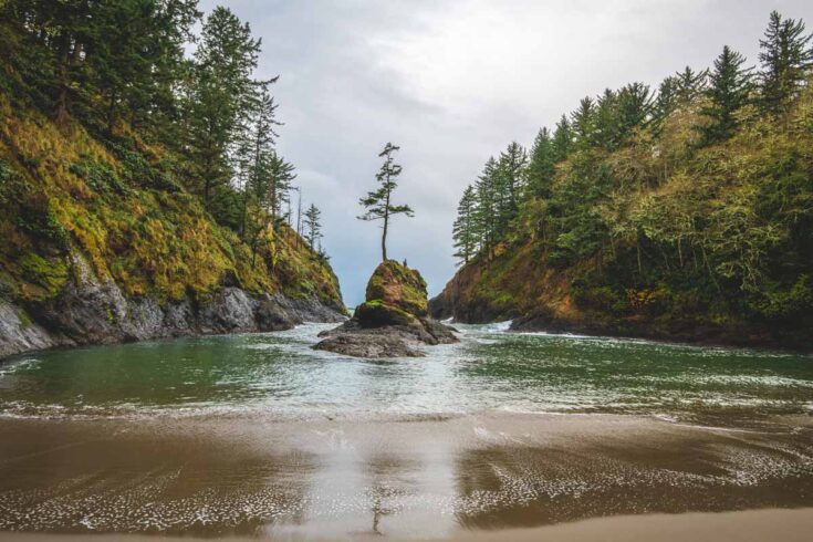 7 Things To Do in Cape Disappointment State Park