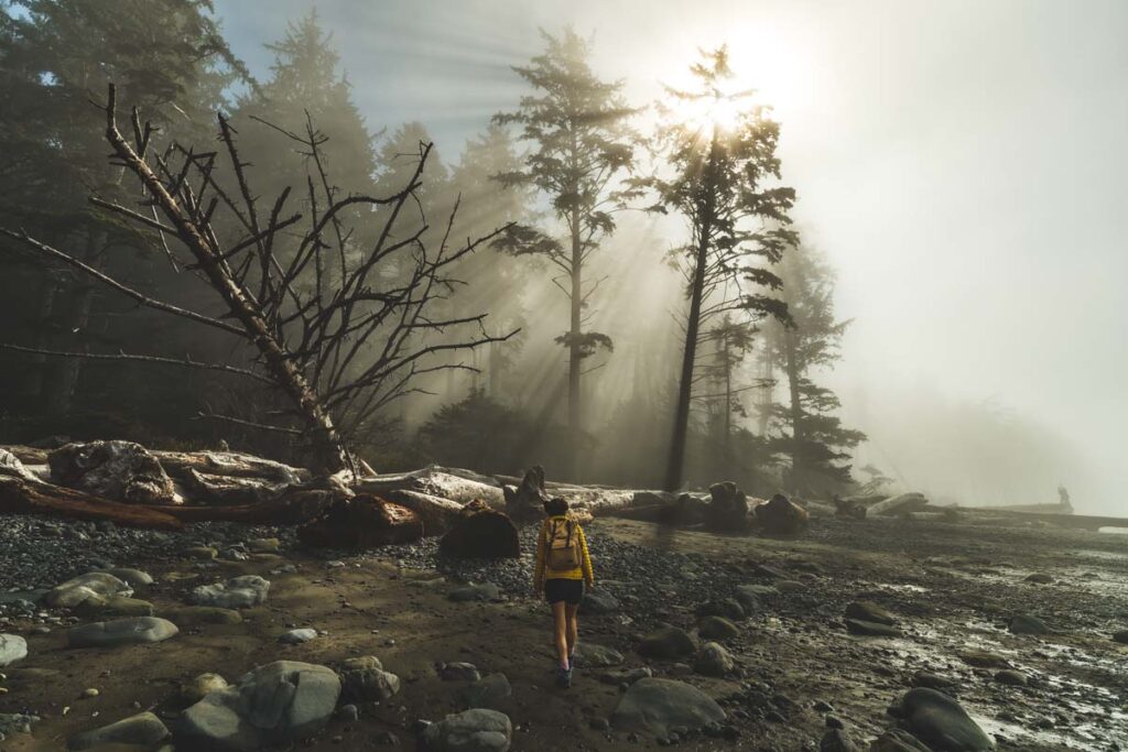 Hiker in misty beach forest on Rialto Beach, where to go camping on the Washington Coast