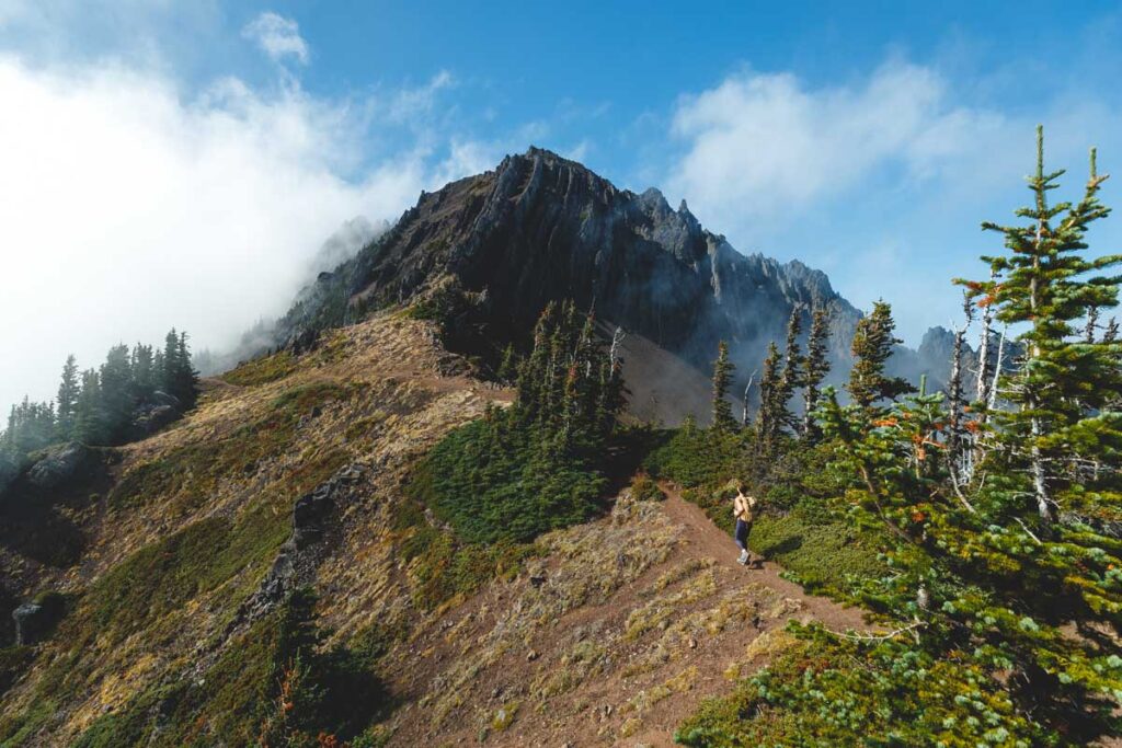 Woman on Mount Angeles via Switchback Trail one of the best hikes on Hurricane Ridge