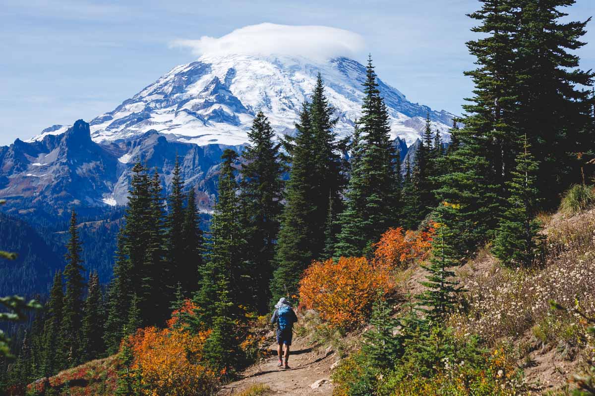 15 Epic Hikes in Mount Rainier National Park, Washington