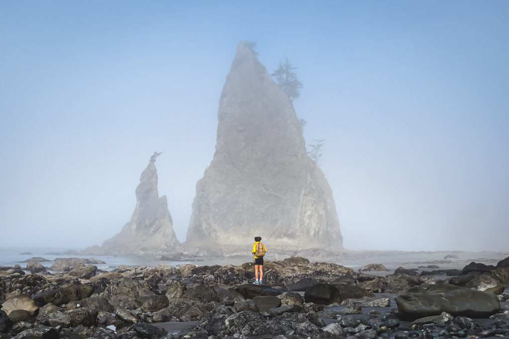 Rialto Beach Hole in the Wall where to stay near Olympic Park