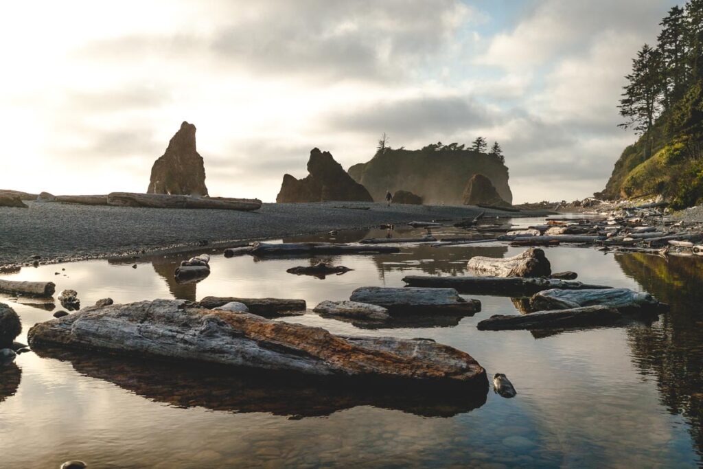 Explore the driftwood waters of the Ruby Beach.