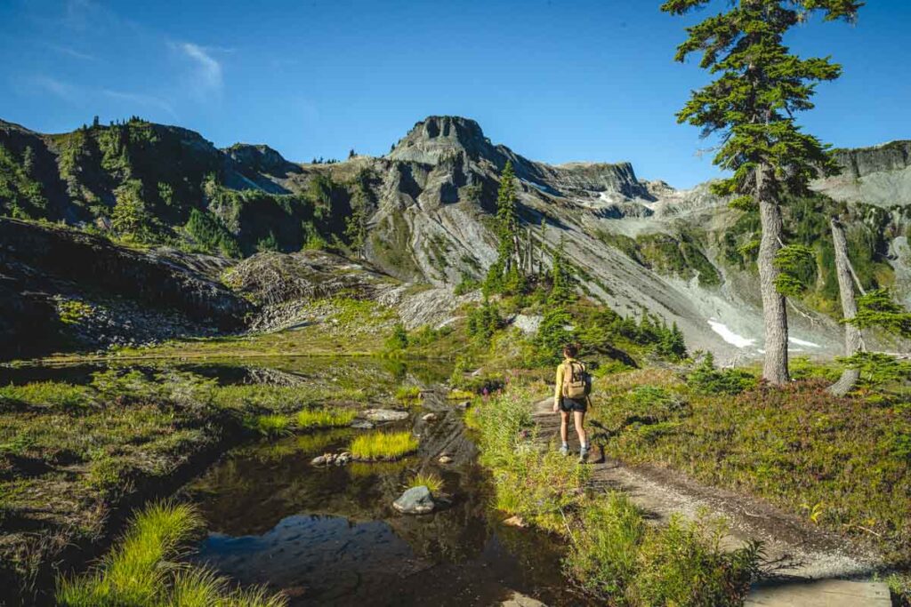 Hiker on Table Mountain Trail one of the best hikes in the North Cascades