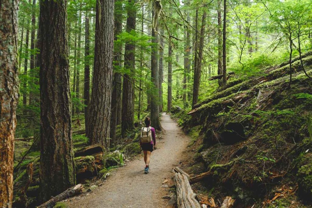 Hiker on the Thunder Knob Trail one of the best hikes in the North Cascades