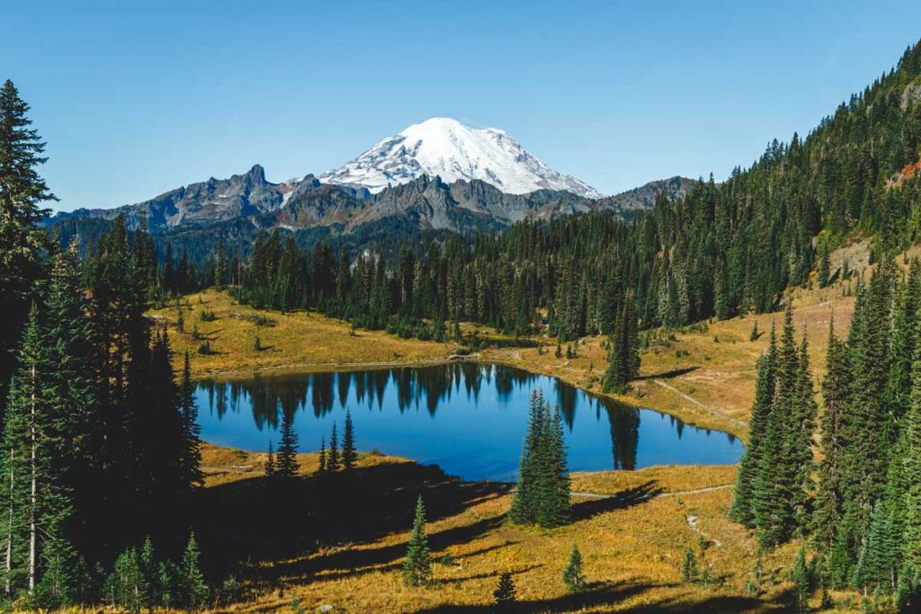 Lake and mountain view of the Tipsoo Lake Loop Hike Mount Rainier trails