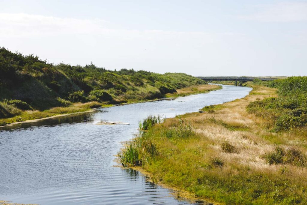 Copalis River at Griffiths-Priday State Park for things to do in Ocean Shores