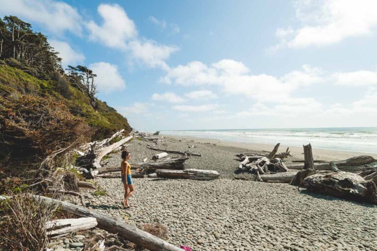 9 Incredible Olympic National Park Beaches to Explore