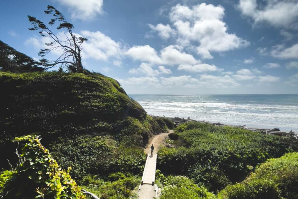 Trail to Kalaloch Beach 1, camping on the Washington Coast