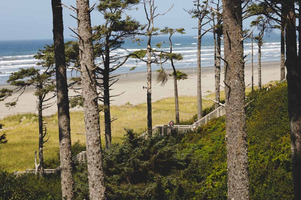 Stairway at Seabrook Beach for things to do in Ocean Shores Washington