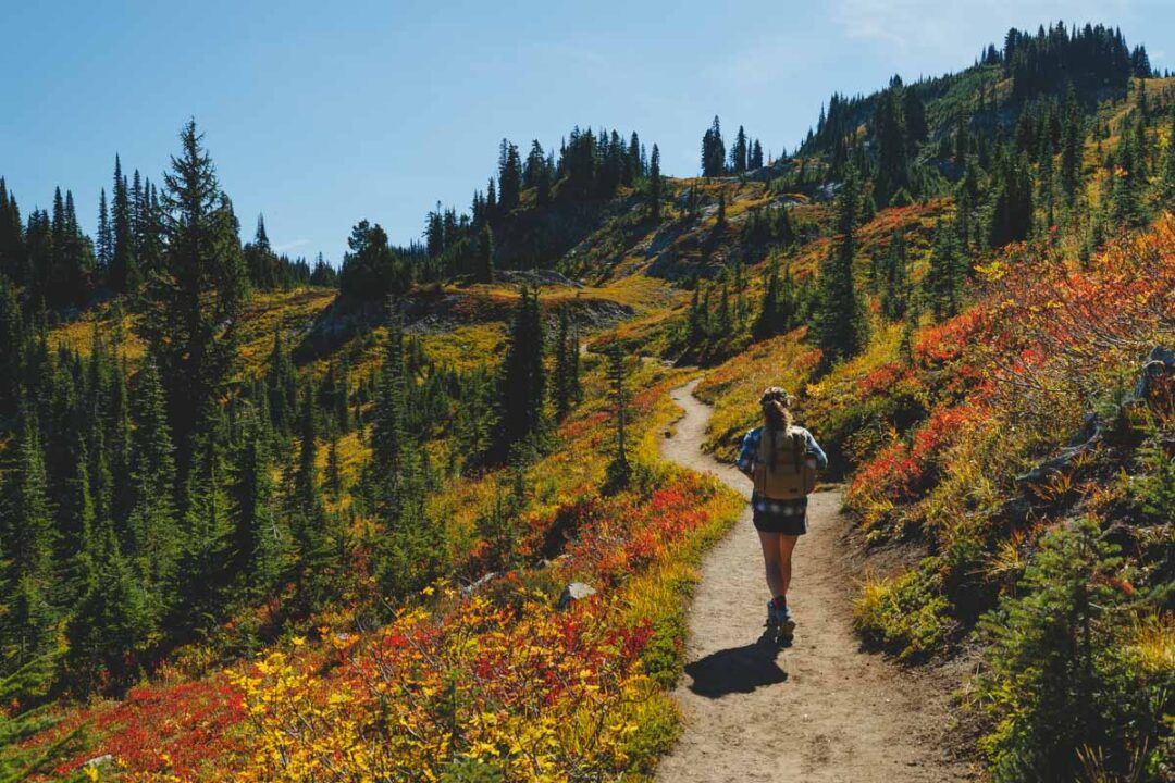 Hiking Naches Peak Loop Trail (Mount Rainier's Best Hike?!)