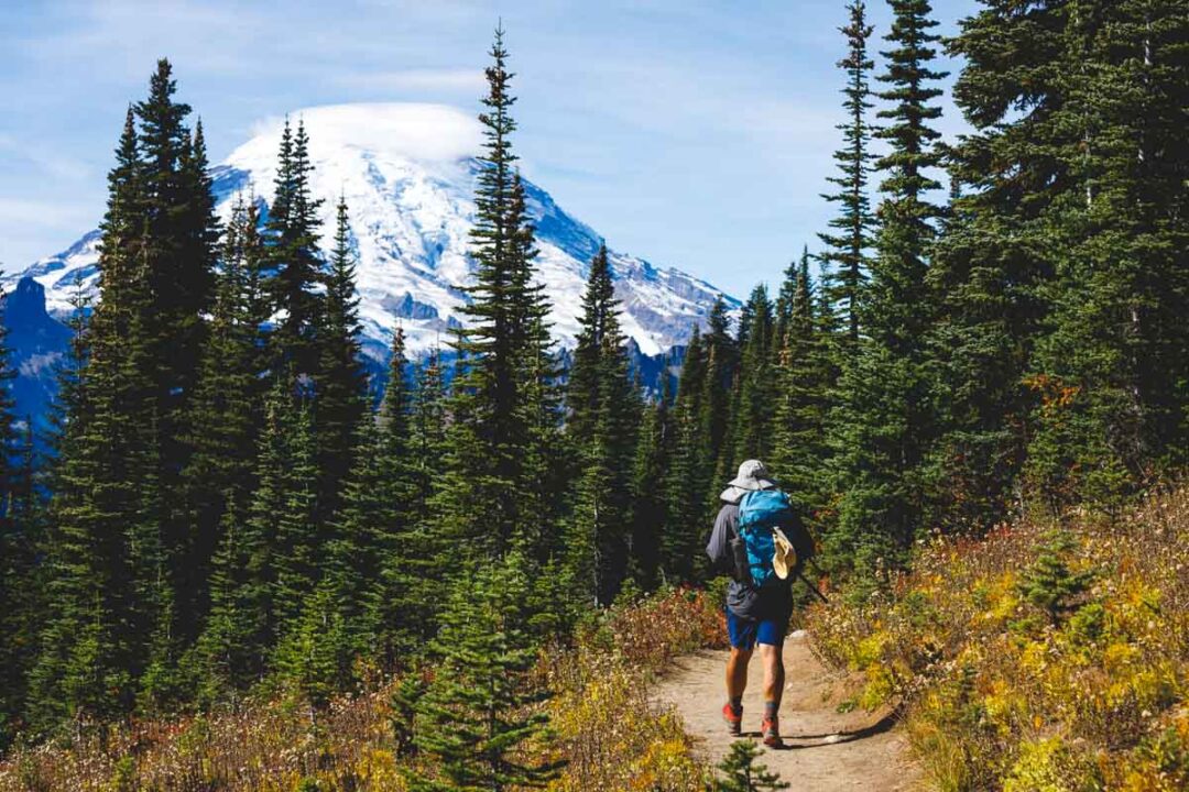 Hiking Naches Peak Loop Trail (Mount Rainier's Best Hike?!)