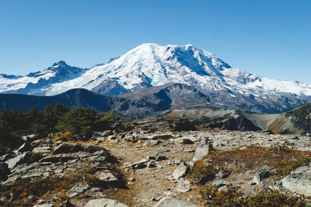 View of snow capped mountain from the Mount Fremont Lookout Trail