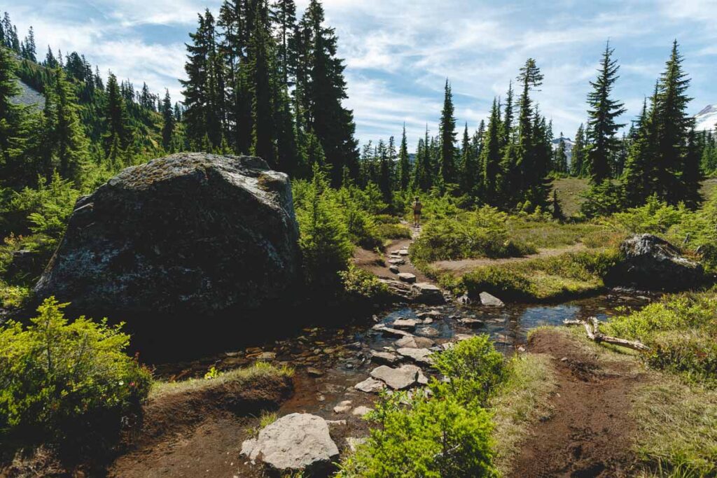 Stream crossing on the Chain Lakes Loop Trail