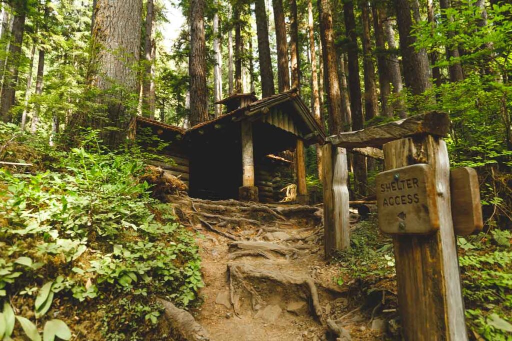 Wooden shelter on the Sol Duc Falls hike