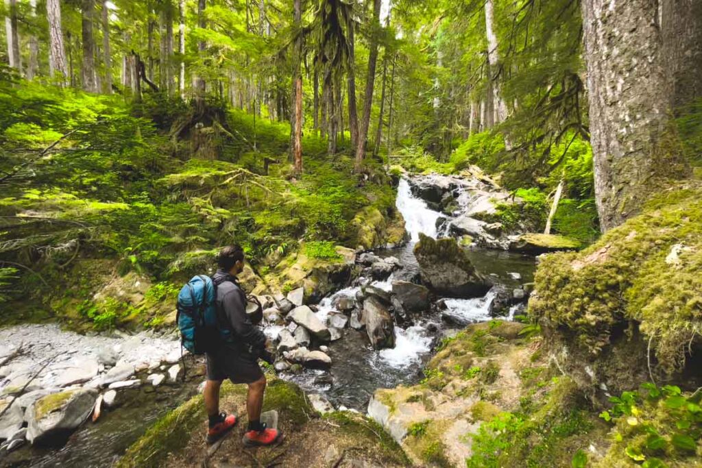 Hiker at small waterfall on the Sol Duc Falls Trail