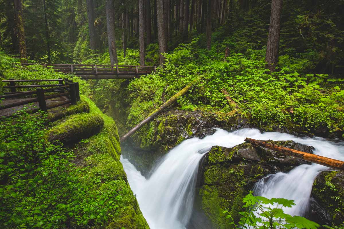 Your Guide to Hiking The Sol Duc Falls Trail