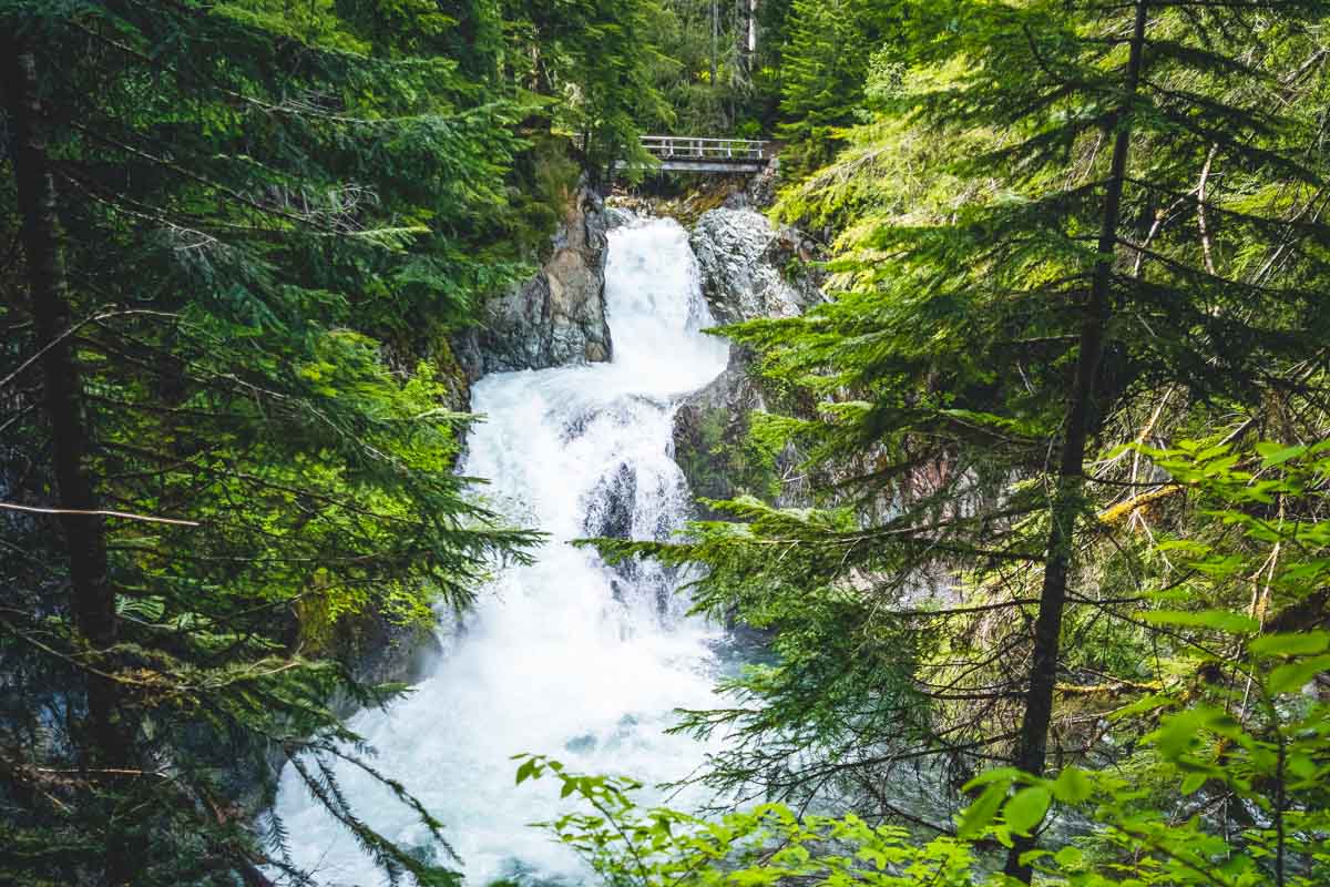 Ohanapecosh River Falls one of the Mount Rainier waterfalls