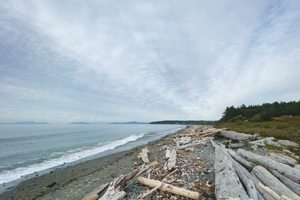 Beach at Joseph Whidbey State Park things to do on Whidbey Island