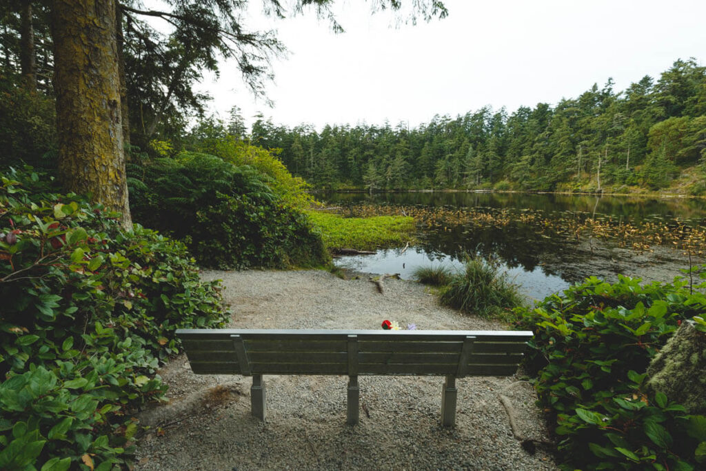 Bench at Lake Pondilla in Fort Ebey State Park