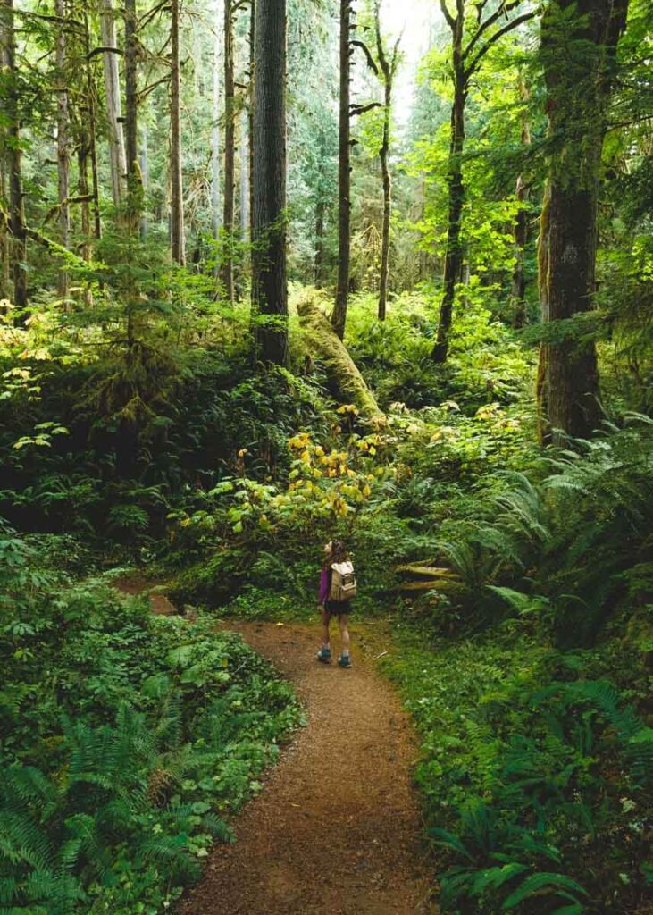 Hiker on Baker Lake Trail on the best lakes in Washington