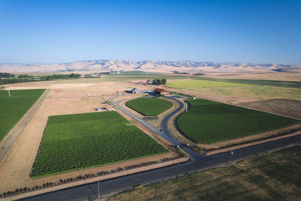 A sweeping landscape view of Doubleback Winery.