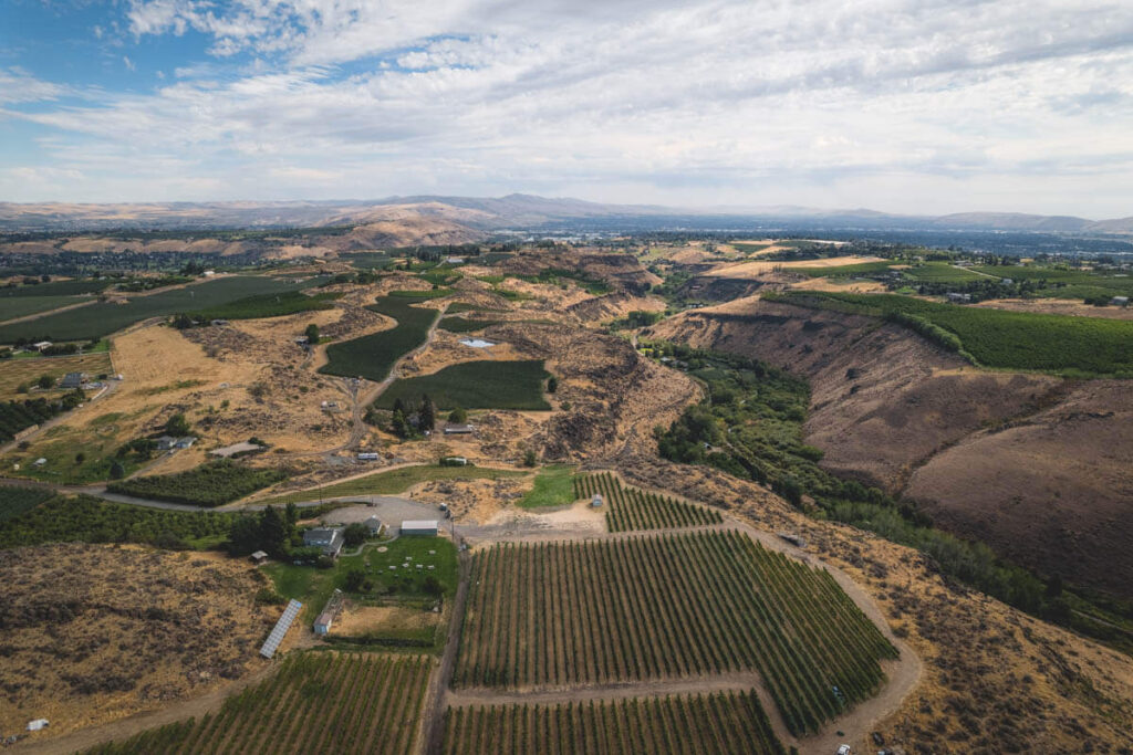 Aerial of Wilridge Vineyard for the best weekend trips from Seattle