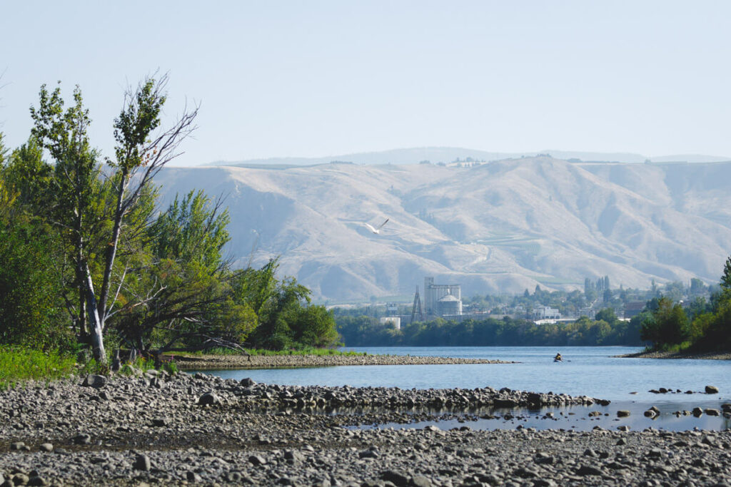 Go birdwatching at Porters Pond in Wenatchee.