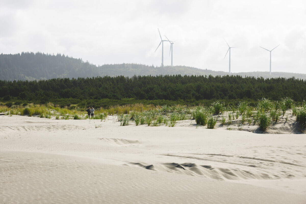 Grayland Beach one of the best Washington state parks