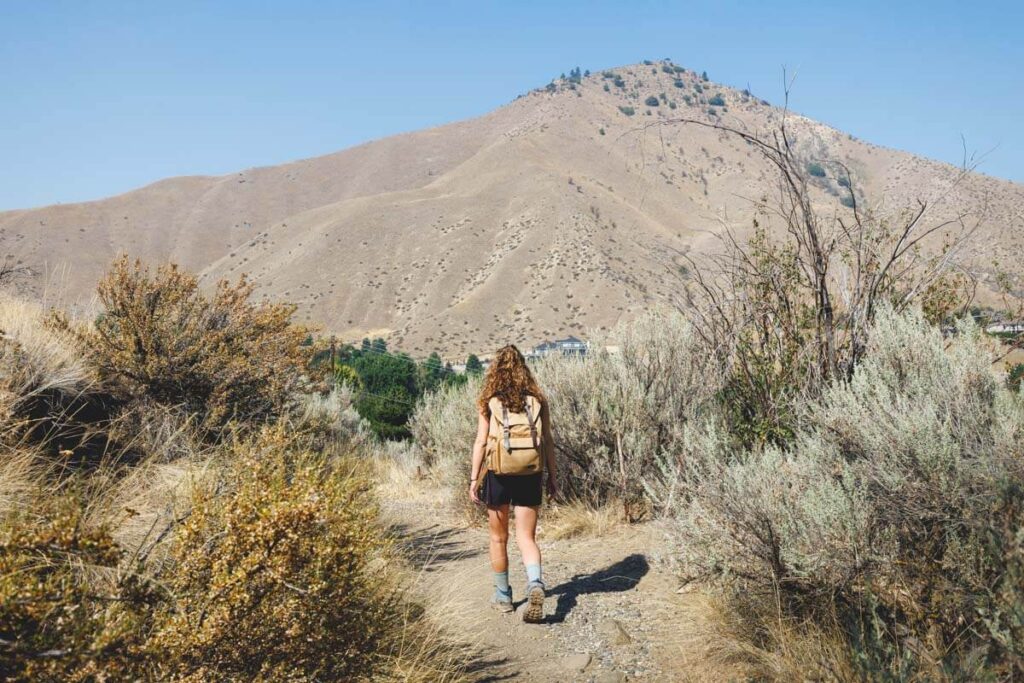The Jacobson Preserve Trail is a great spot for hiking near Wenatchee.