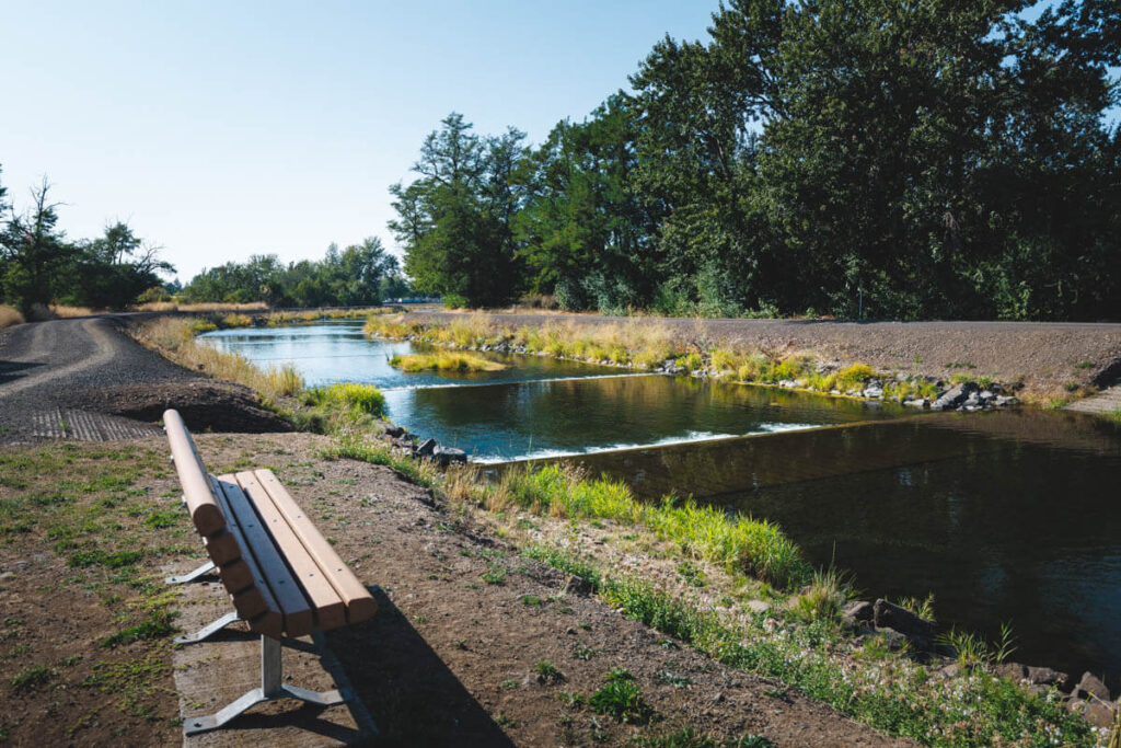 Take your time walking the Mill Creek Trail.