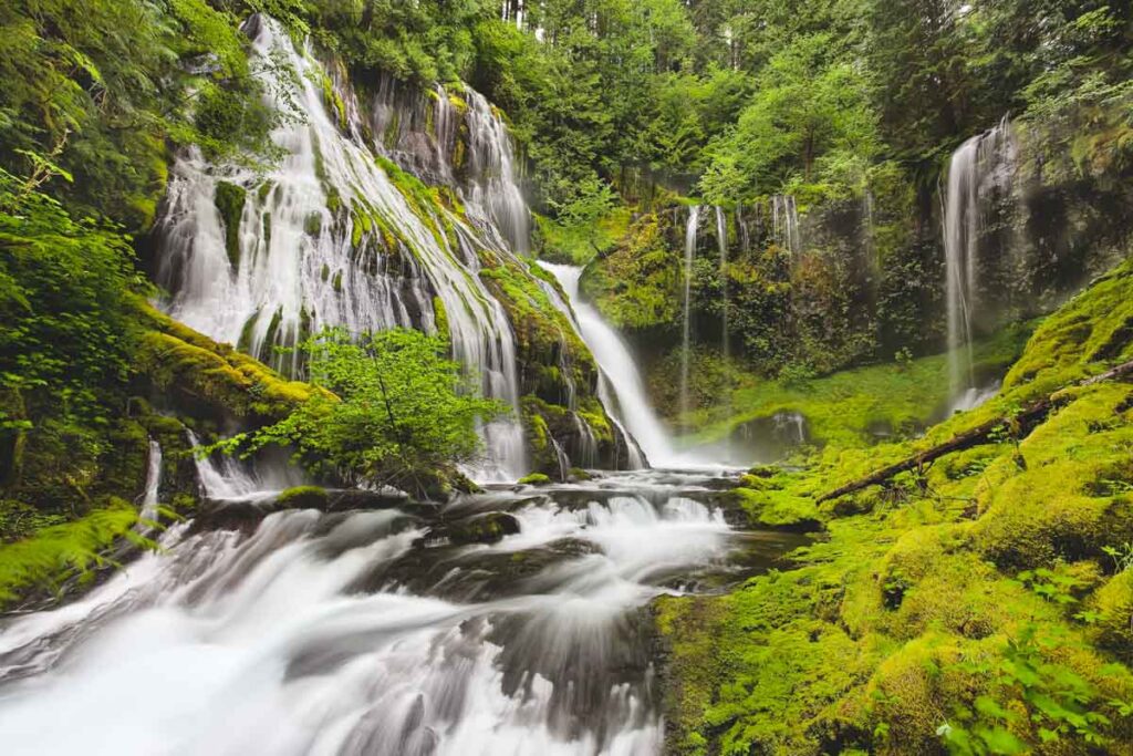 A long exposure of Panther Creek Falls in Columbia River Gorge.