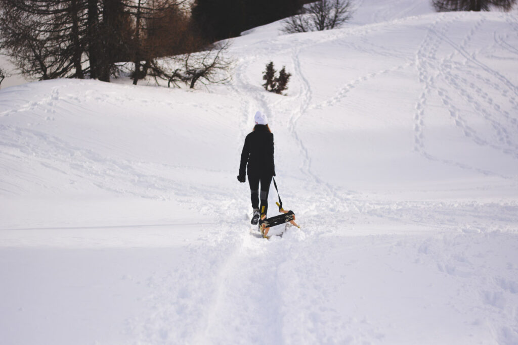 Woman with sled at Mount Rainier National Park, Washington in winter